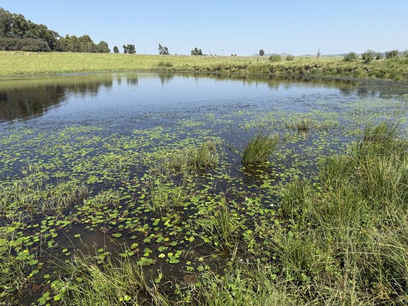 0 Bedroom Property for Sale in Bethlehem Rural Free State